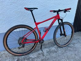 BMC MTB  29 “ 11V  Grösse L